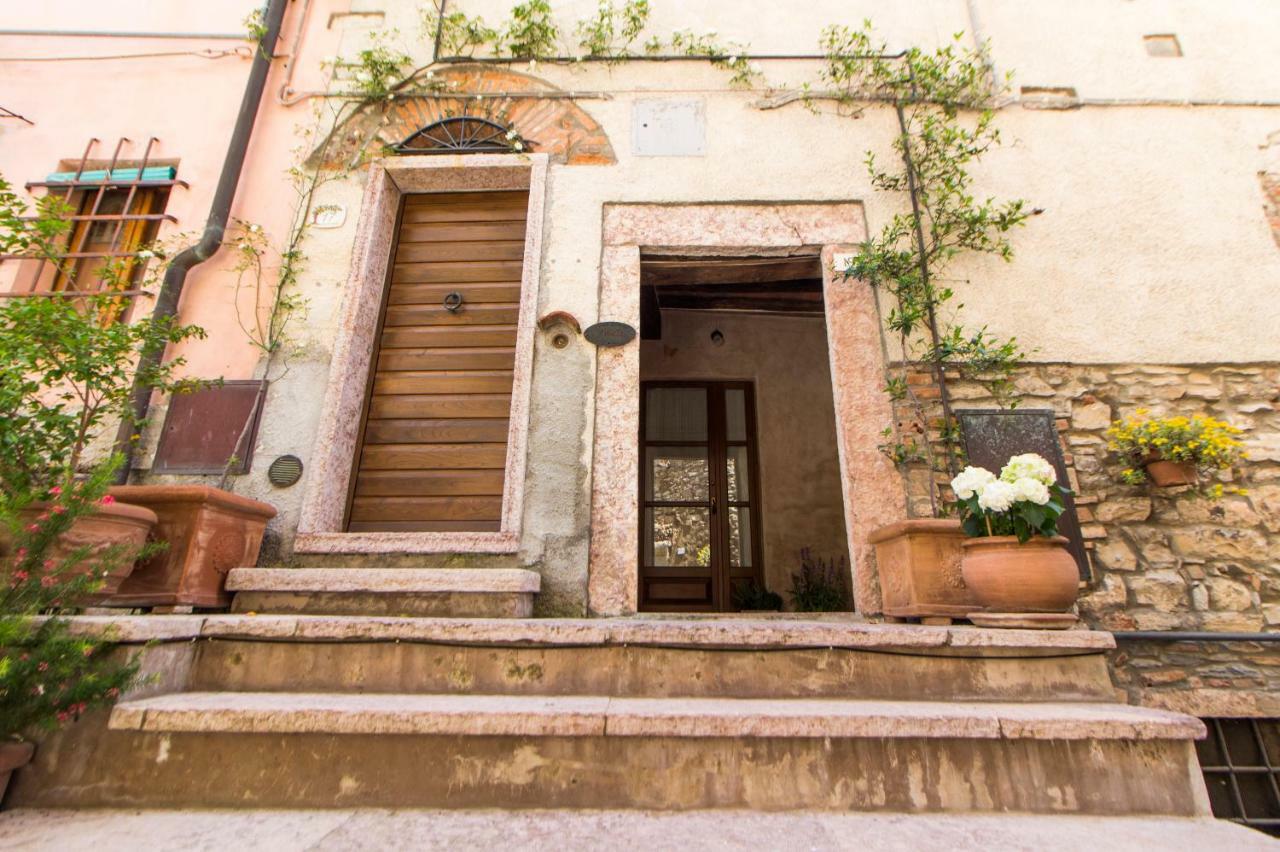 Le Dame Del Borgo Apartment Sassetta Bagian luar foto
