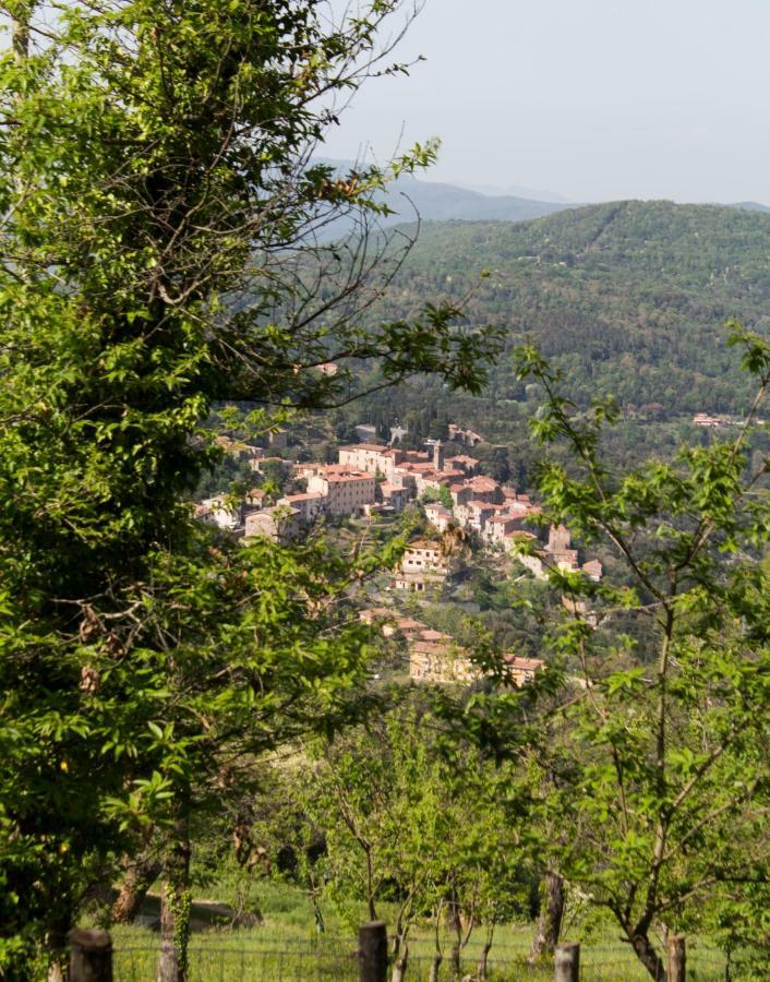 Le Dame Del Borgo Apartment Sassetta Bagian luar foto